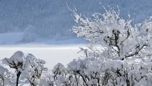 冰雪风景图片_7