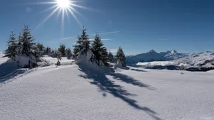 冰雪风景图片_9