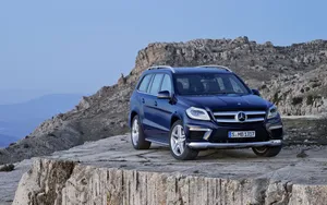 奔驰 GL 350 Bluetec 4Matic汽车_5