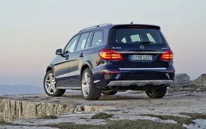 奔驰 GL 350 Bluetec 4Matic汽车_6