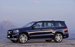 奔驰 GL 350 Bluetec 4Matic汽车_14