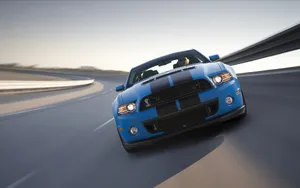 福特眼镜蛇 Ford Shelby GT500_3