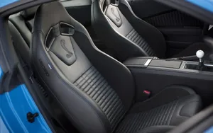 福特眼镜蛇 Ford Shelby GT500_7