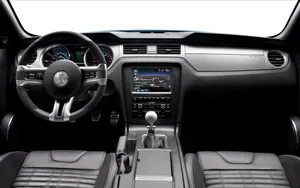 福特眼镜蛇 Ford Shelby GT500_12