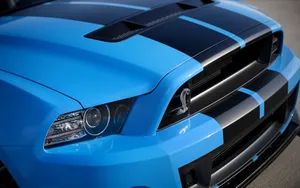 福特眼镜蛇 Ford Shelby GT500_16