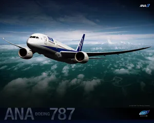 波音787梦想飞机图片壁纸_2
