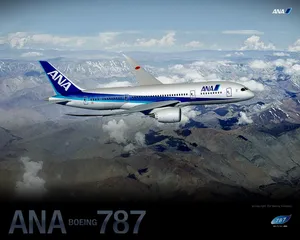 波音787梦想飞机图片壁纸_5