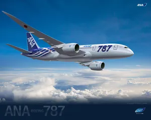 波音787梦想飞机图片壁纸_7