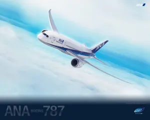 波音787梦想飞机图片壁纸_8