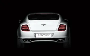 Bentley宾利 第一辑_16