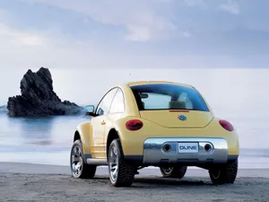 Beetle 第一辑_18