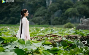 三生三世枕上书壁纸_3