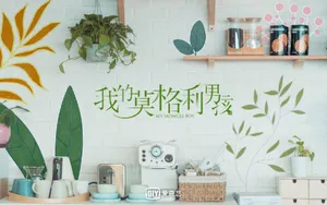 《我的莫格利男孩》壁纸_9