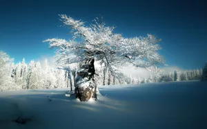 德国巴伐利亚冬天雪景图片壁纸_7
