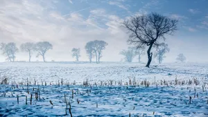雪地雪景风景图片_2