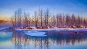 雪地雪景风景图片_8