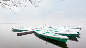 雪地雪景风景图片_9