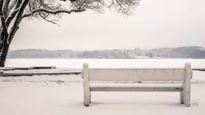 好看的雪景图片_5