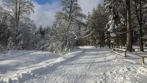 积雪白雪雪景图片_6
