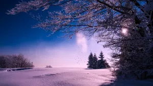 积雪白雪雪景图片_7