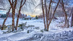 积雪白雪雪景图片_9