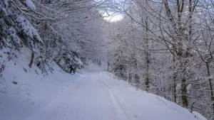 积雪白雪雪景图片_10
