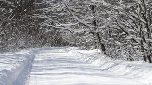 积雪白雪雪景图片_11