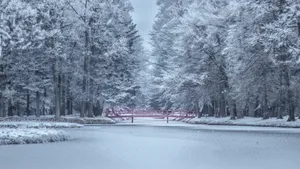 积雪白雪雪景图片_15