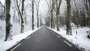 唯美冬季雪景图片壁纸_3