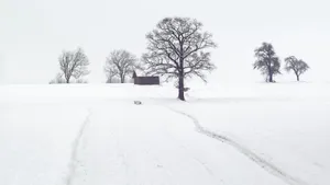 唯美冬季雪景图片壁纸_5