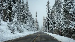 唯美冬季雪景图片壁纸_6