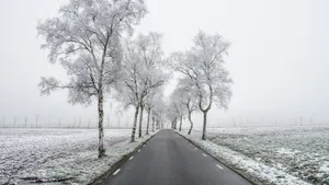唯美冬季雪景图片壁纸_8