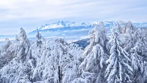唯美冬季雪景图片壁纸_9