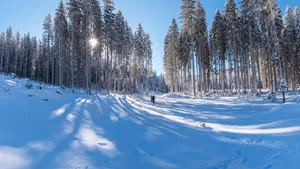 唯美冬季雪景图片壁纸_12