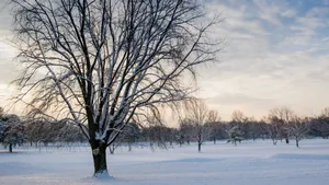 唯美冬季雪景图片壁纸_13