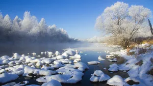 唯美的冰雪世界白雪图片_4