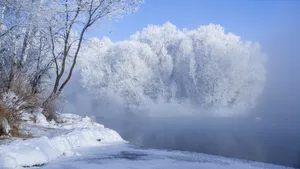 唯美的冰雪世界白雪图片_6