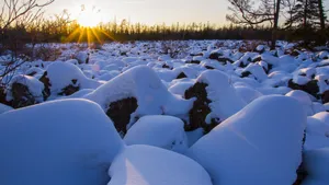 唯美的冰雪世界白雪图片_7