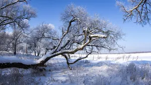 唯美的冰雪世界白雪图片_10