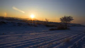 唯美的冰雪世界白雪图片_11