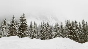 冬季冰雪风景图片大全_5