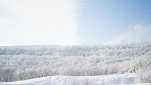 冬季冰雪风景图片大全_6