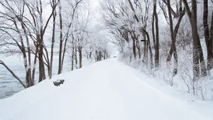 冬季冰雪风景图片大全_8