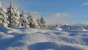 冬季冰雪风景图片大全_9