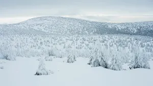 冬季冰雪风景图片大全_11