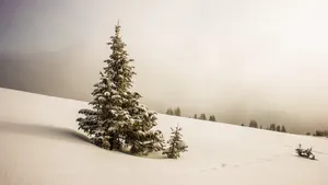 冬季冰雪风景图片大全_12