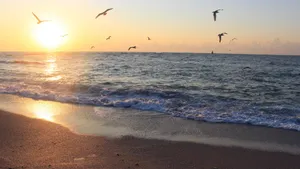 大海海滩风景图片壁纸_4