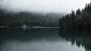 宁静的湖泊风景图片_3