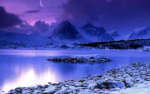 冬季漫天飞雪雪景图片_3