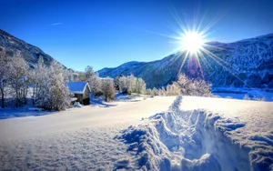 冬季漫天飞雪雪景图片_4